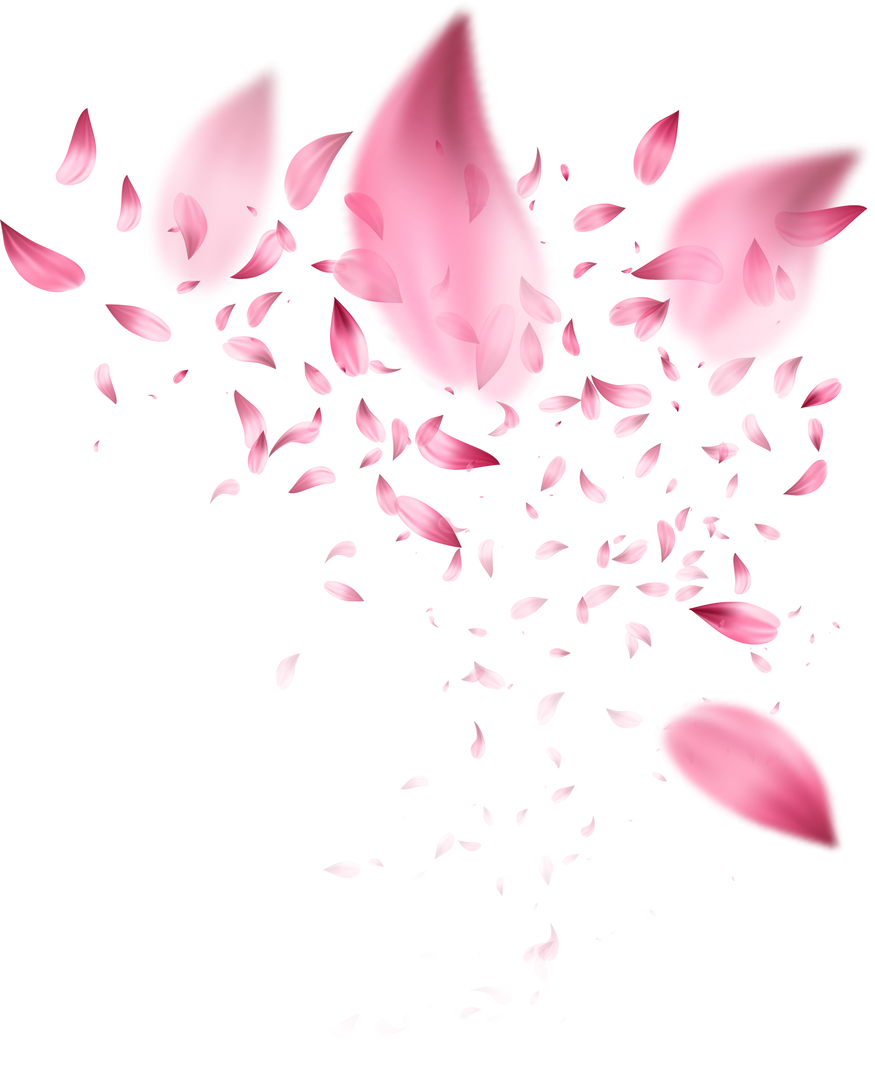 Fly Cherry Blossom